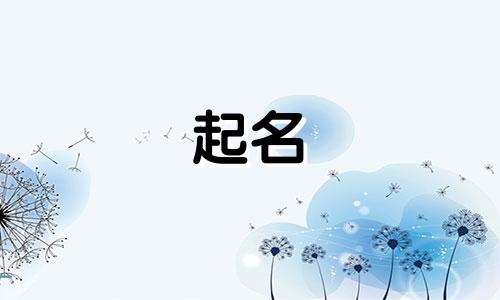 庄河有哪些起名大师店铺