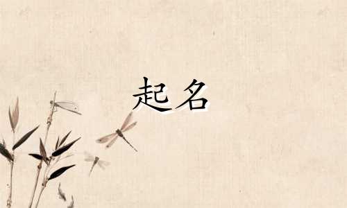 论语中起名选字有哪些