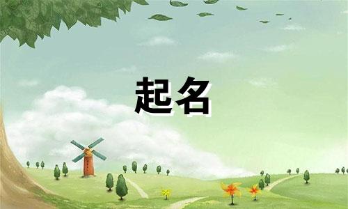 智能起名平台有哪些名字