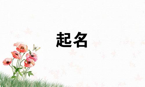 公司起名的好字有哪些
