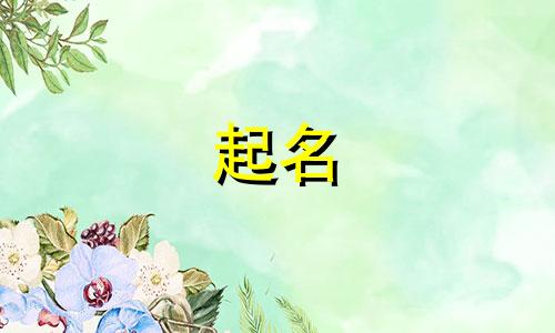 璇起名有哪些寓意男孩