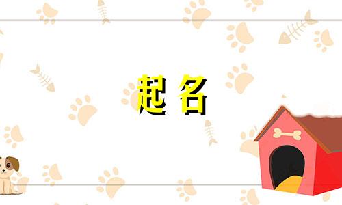 公司起名取名原则有哪些