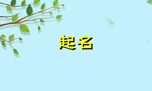 起名用字十三笔有哪些