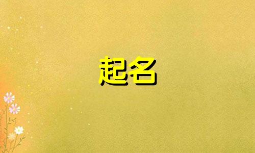 起名女孩明星有哪些名字