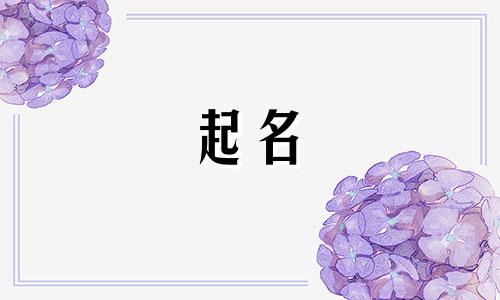 相声起名小程序有哪些