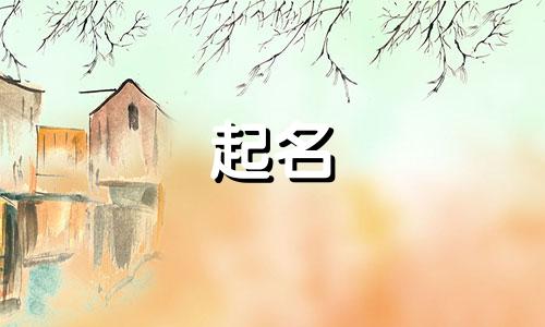 网文起名软件有哪些好听