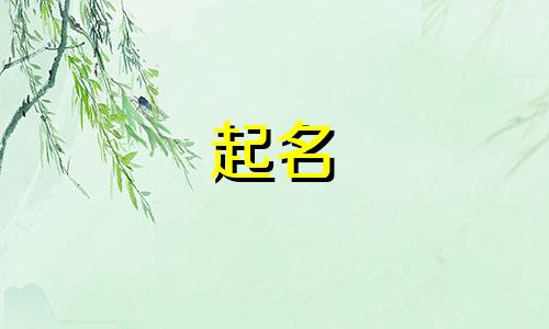 渔具公司品牌起名有哪些