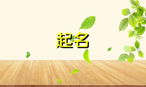 公司起名易用哪些字体最好