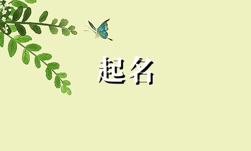古龙的神奇起名有哪些