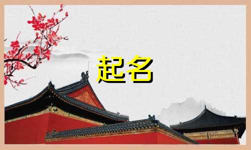 起名韩国女生名字有哪些
