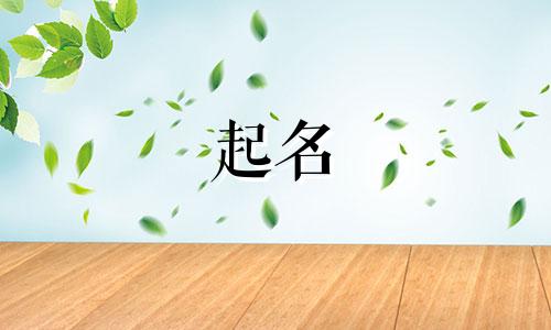 女孩起名风格有哪些字