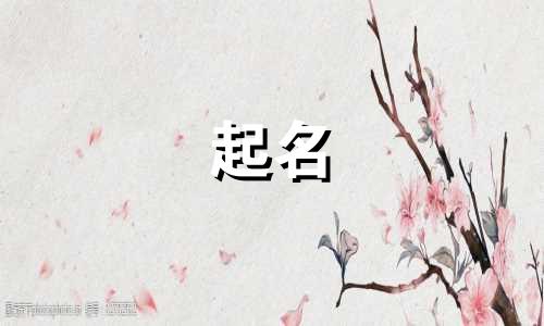 婴儿起名哪些字好记男孩
