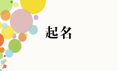食品起名规则有哪些类型