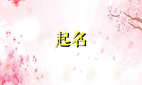 创意起名平台有哪些名字