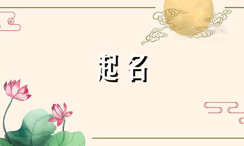 起名培训课程有哪些好听