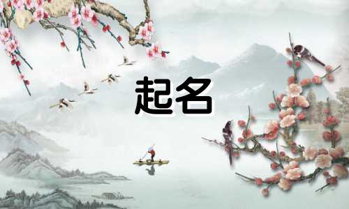 卫星起名软件有哪些好用