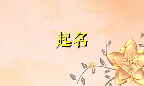 花钱起名的骗局有哪些
