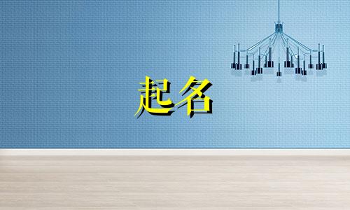 比亚迪海豚起名原因有哪些