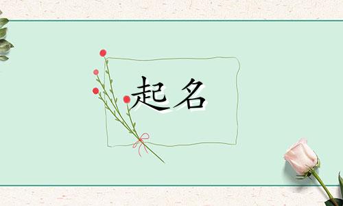 不会起名的小样有哪些
