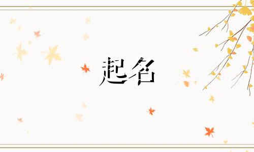 起名常用女孩名字有哪些