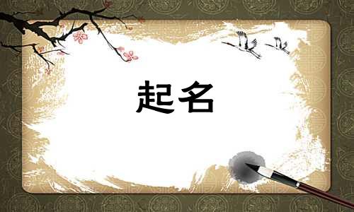 小老虎起名乐器有哪些