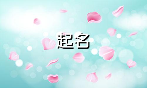 蔬菜产品起名技巧有哪些