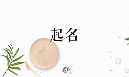 响亮的起名说法有哪些