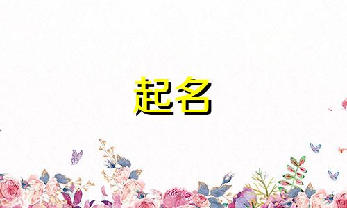 餐饮起名小程序有哪些