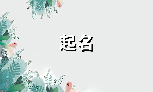 崔起名女孩小名有哪些