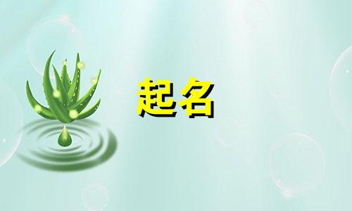 小朋友起名软件有哪些