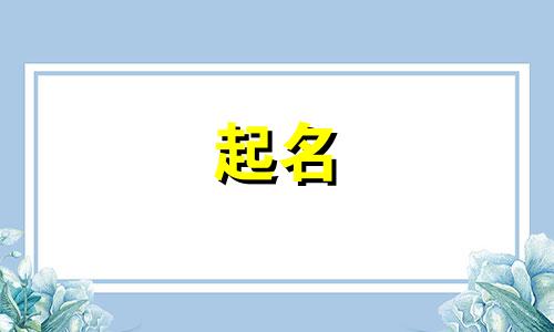 粉丝名起名软件有哪些