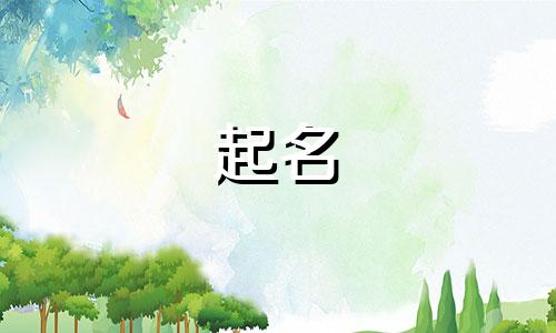 海口起名大师有哪些名字