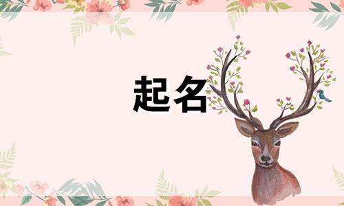 猪宝宝起名有哪些禁忌