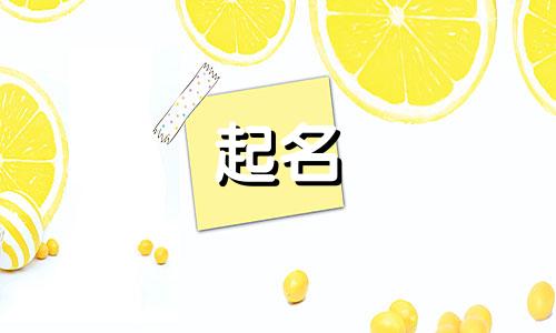 济南起名软件有哪些公司