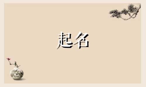 药名起名规律有哪些字母