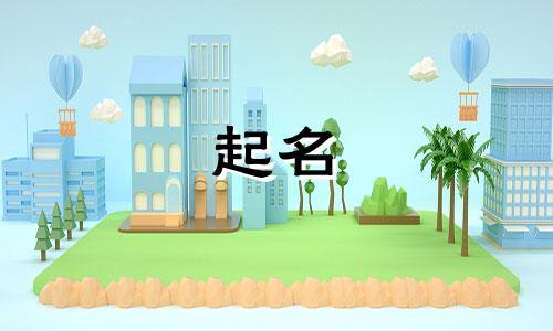 起名寓意书籍有哪些名字