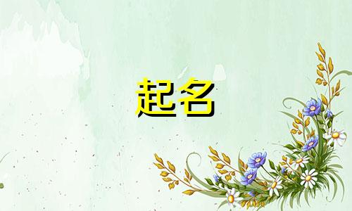 小儿起名查询网站有哪些