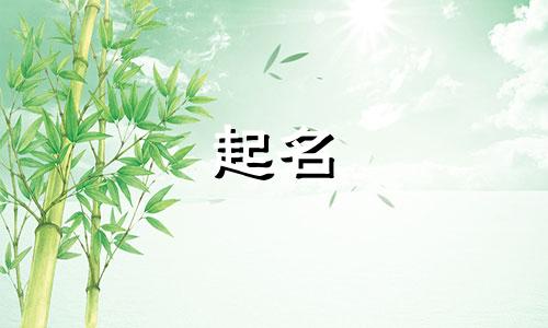 起名的考虑因素包括哪些