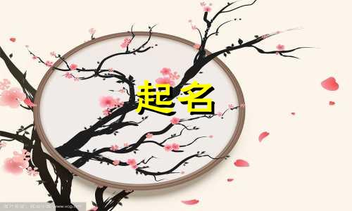 小队起名动物有哪些图片