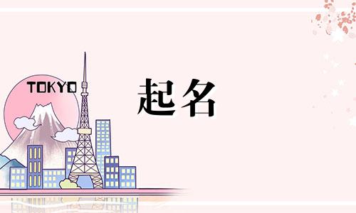 企业起名规则有哪些类型