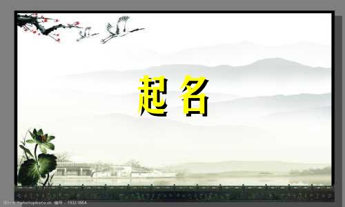 公司起名行业表述有哪些