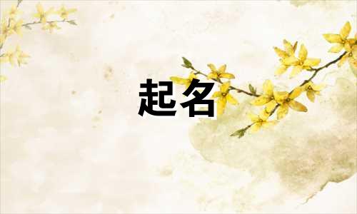 公司起名要考虑哪些问题