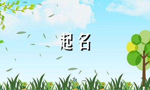 美术机构起名软件有哪些