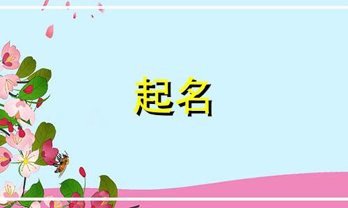 哪些字起名个性好听男孩