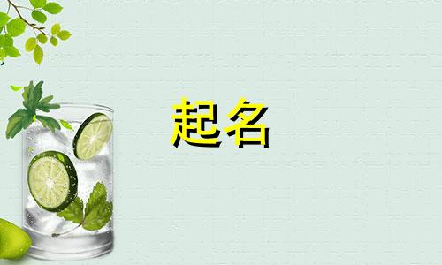 大连商标起名平台有哪些