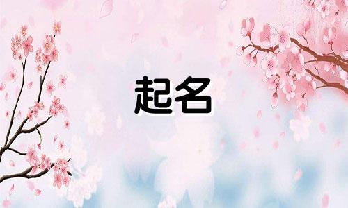 公司起名核实网站有哪些