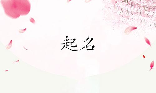 品牌起名的公司有哪些