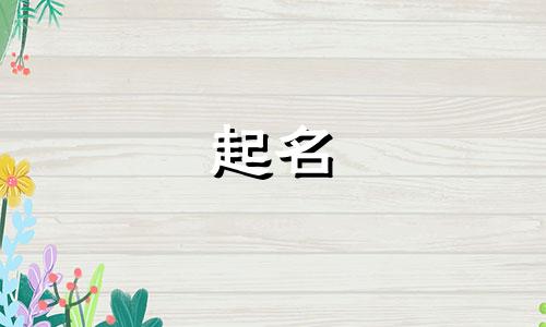 趣味起名软件有哪些牌子