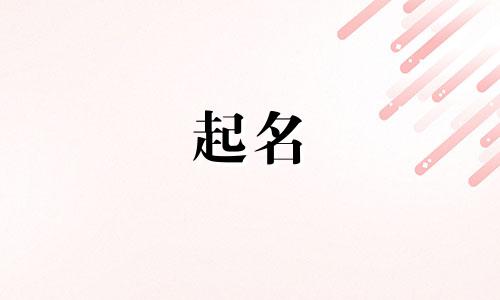 公司起名创意软件有哪些