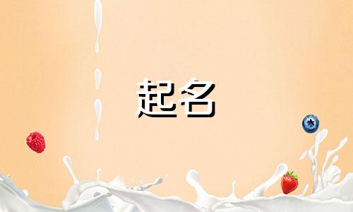 起名软件市场有哪些好用